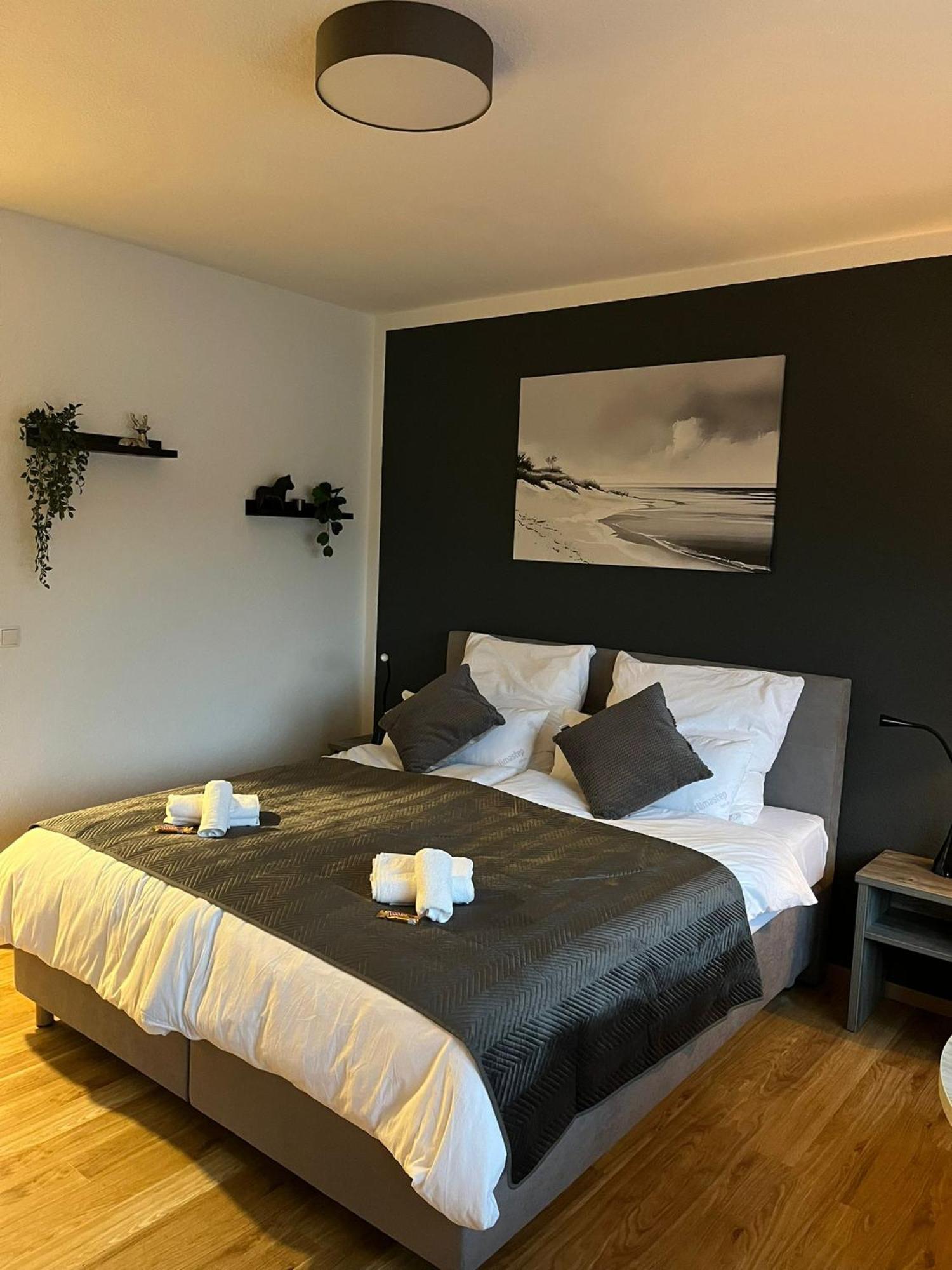 Rheinpanorama Suite Mit Balkon Кобленц Экстерьер фото